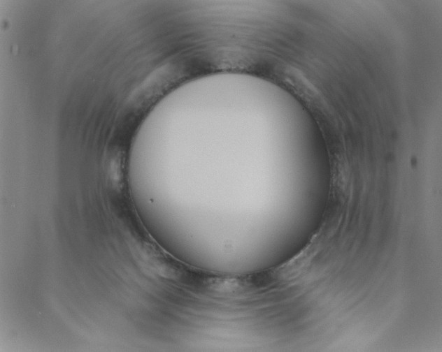 X0000088640074200706081623