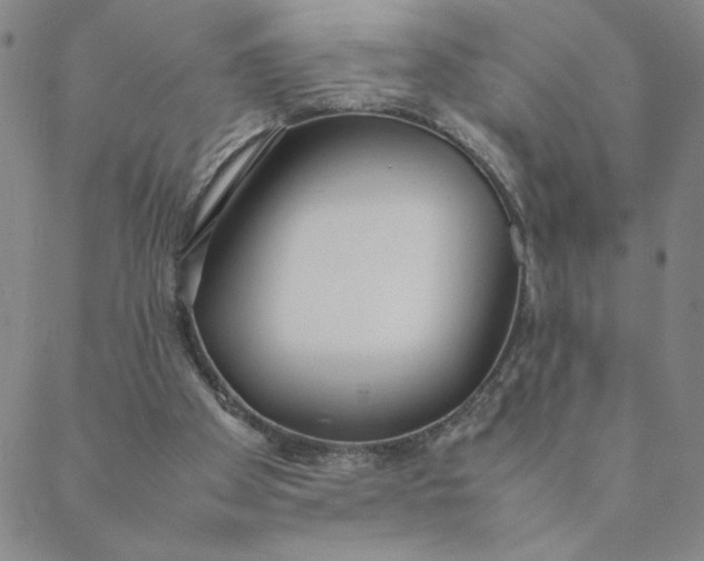 X0000088640105200706081622