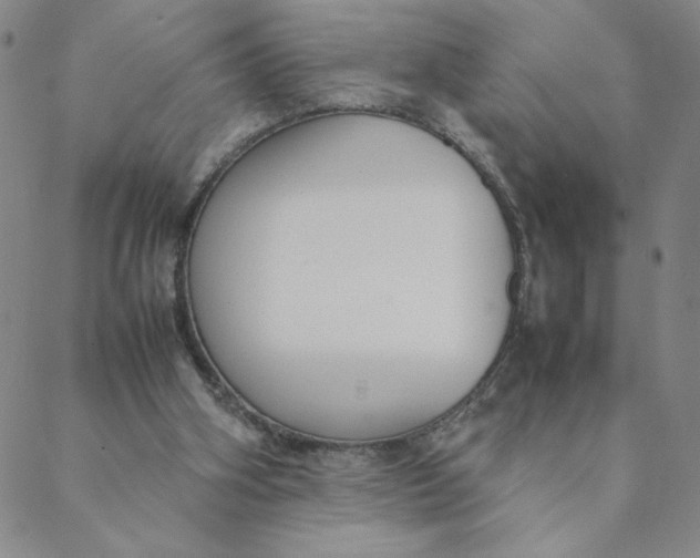 X0000088640106200706081622