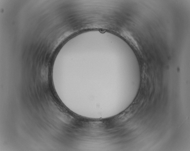 X0000088640108200706081622