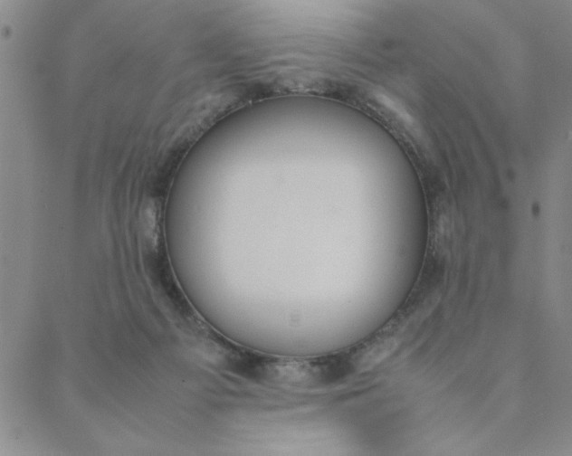 X0000088640121200706081622