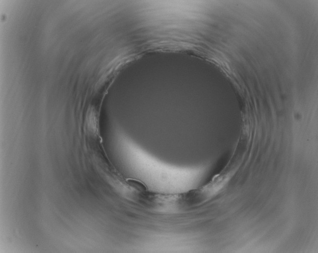 X0000088640143200706081622