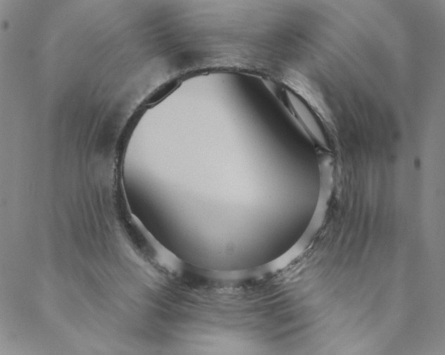 X0000088640156200706081621