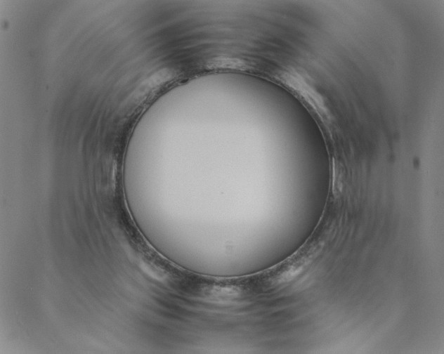 X0000088640157200706081621