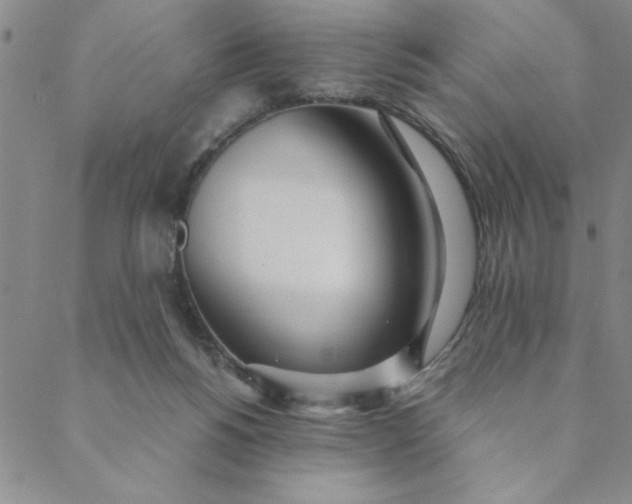 X0000088640168200706081621