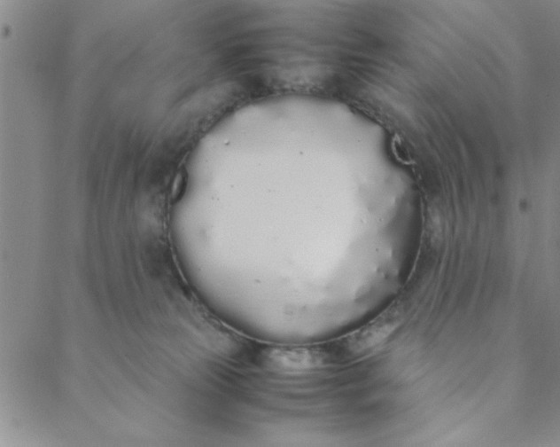 X0000088640181200706081622
