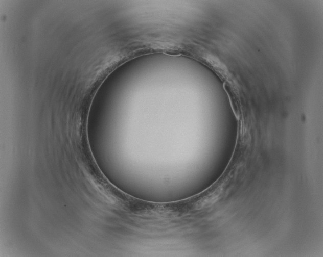 X0000088640201200706081621