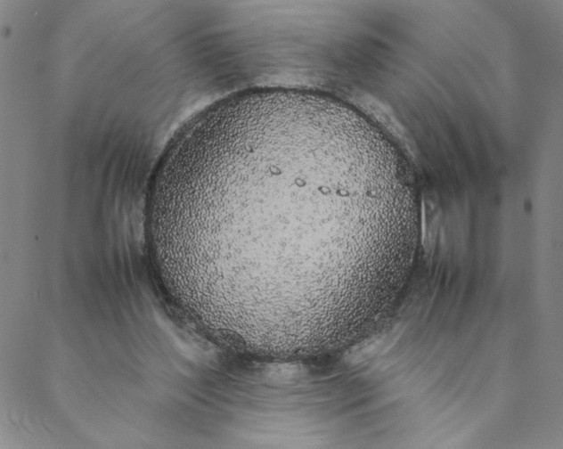 X0000088640204200706081621