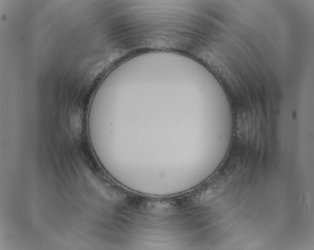 X0000088640208200706081621