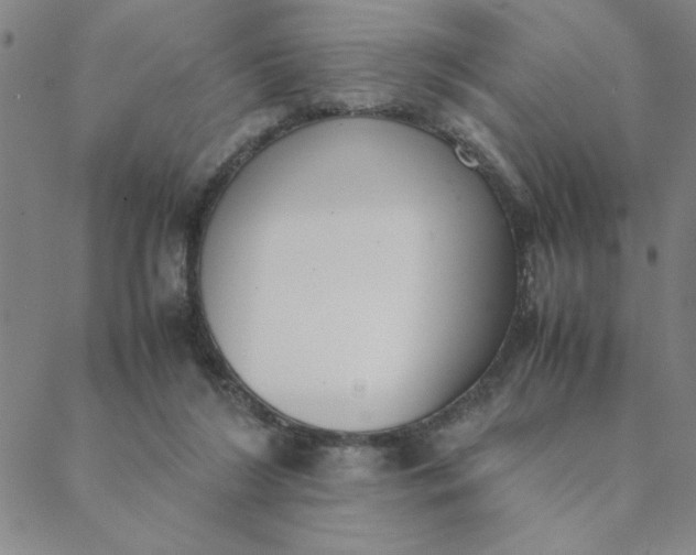 X0000088640212200706081621