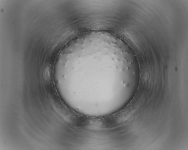 X0000088640214200706081621