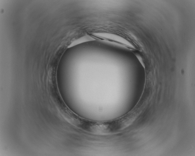 X0000088640217200706081621