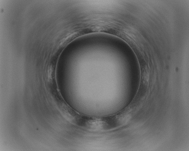 X0000088640219200706081621