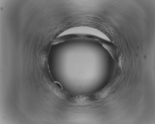 X0000088640235200706081620