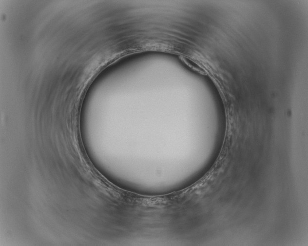 X0000088640241200706081619