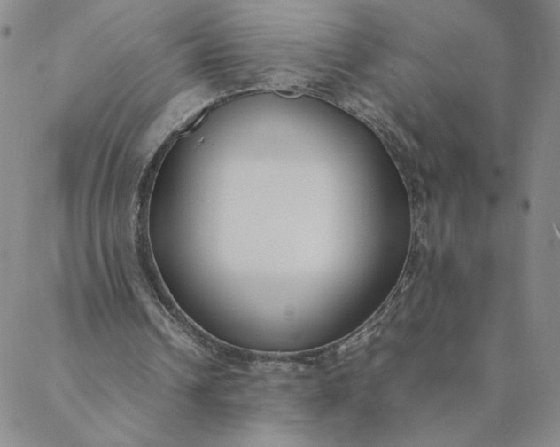 X0000088640242200706081619