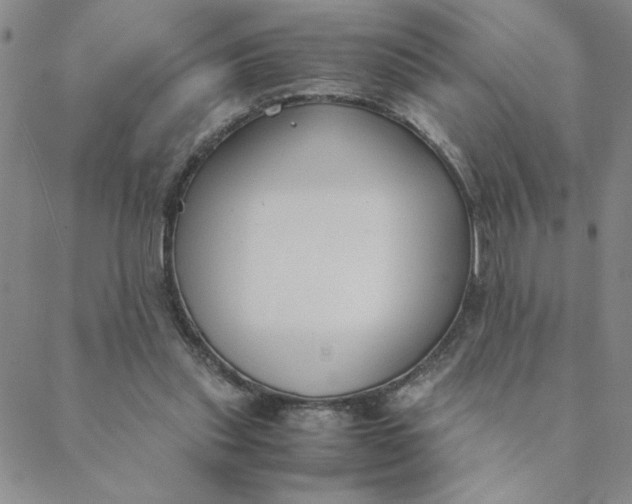 X0000088640253200706081620
