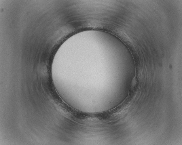 X0000088640256200706081620