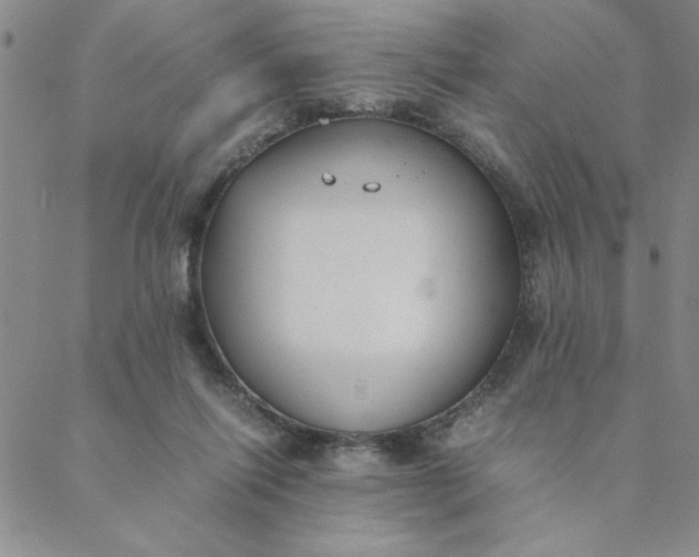 X0000088640262200706081620
