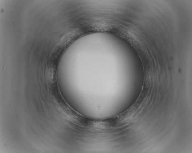 X0000088640268200706081620