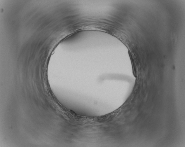 X0000088640289200706081619