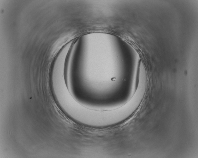 X0000088640293200706081619