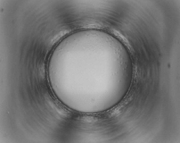 X0000088640298200706081619