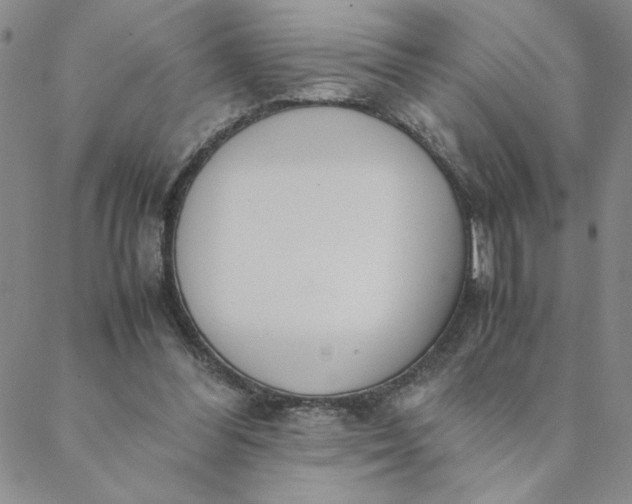 X0000088640300200706081619