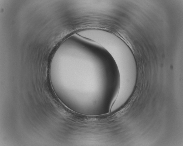 X0000088640301200706081619