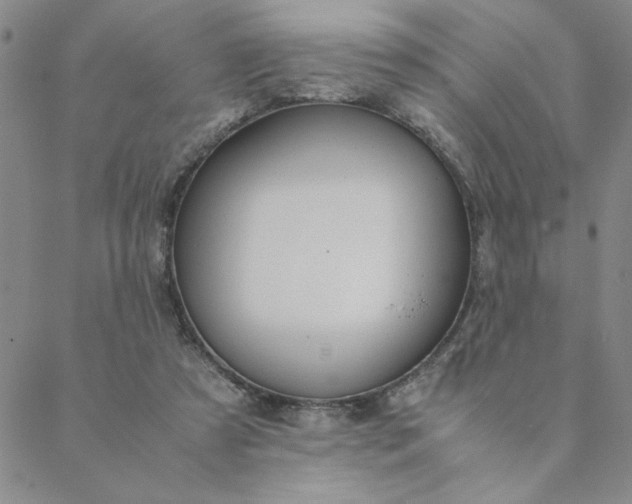 X0000088640305200706081619