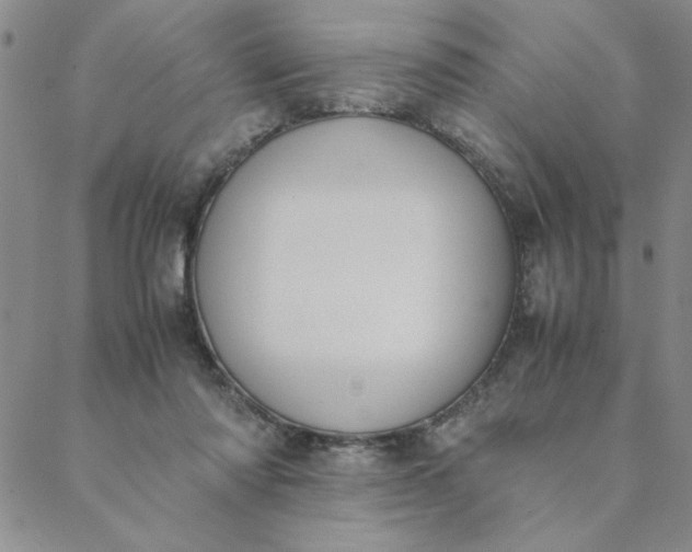 X0000088640310200706081619