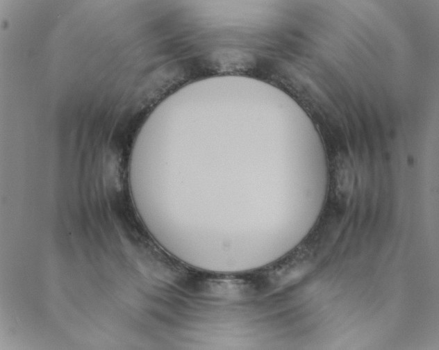 X0000088640316200706081619