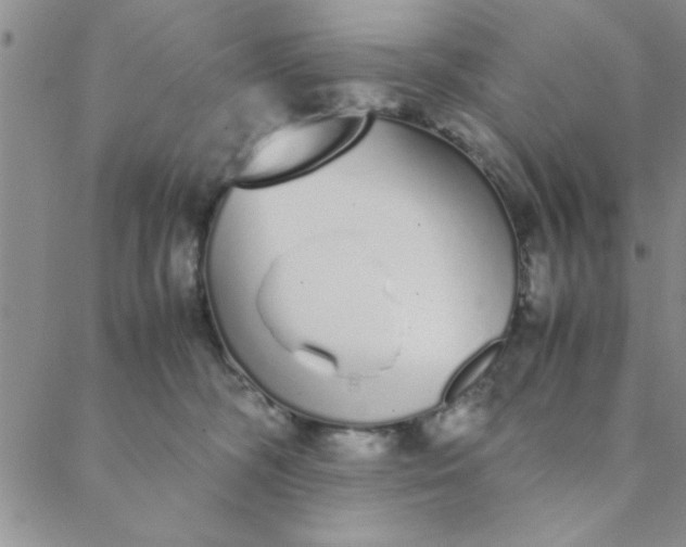 X0000088640326200706081619