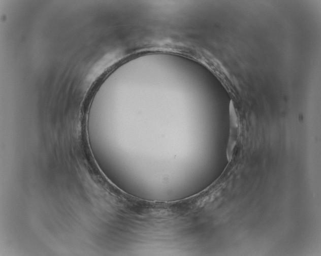 X0000088640344200706081618