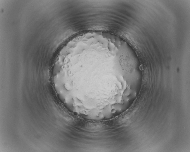 X0000088640351200706081618