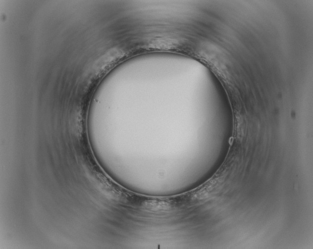X0000088640354200706081618