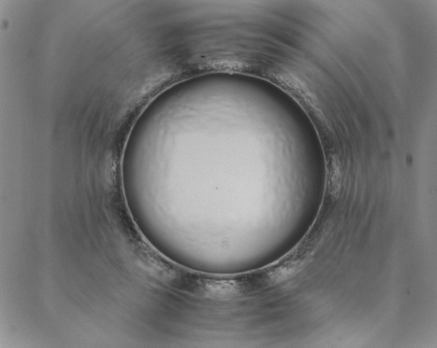 X0000088640355200706081618
