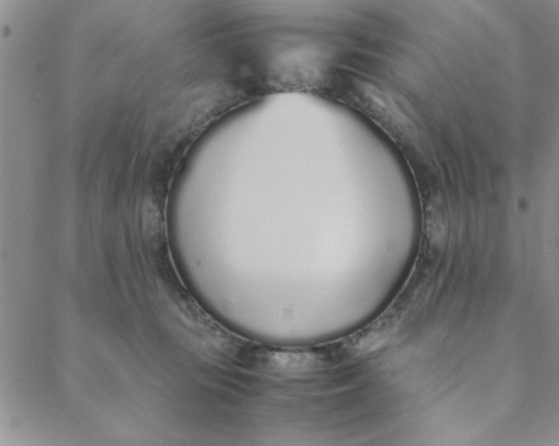 X0000088640371200706081618