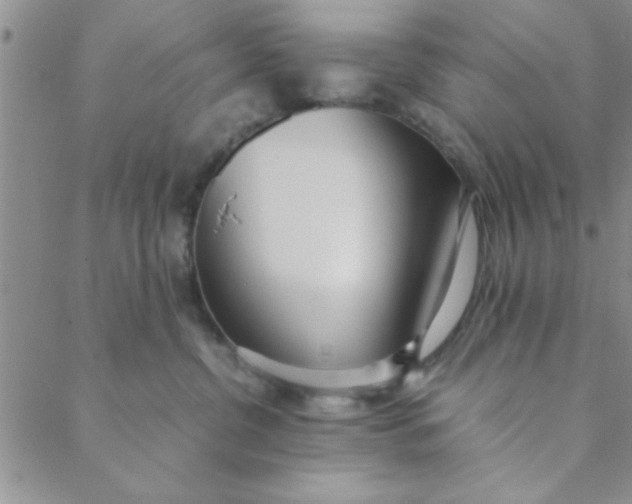 X0000088640380200706081619