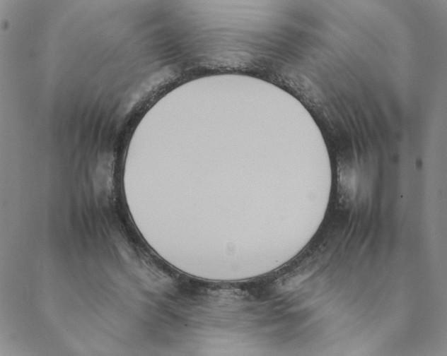 X0000088640396200706081618