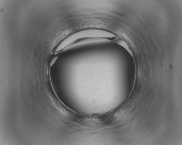 X0000088640397200706081618