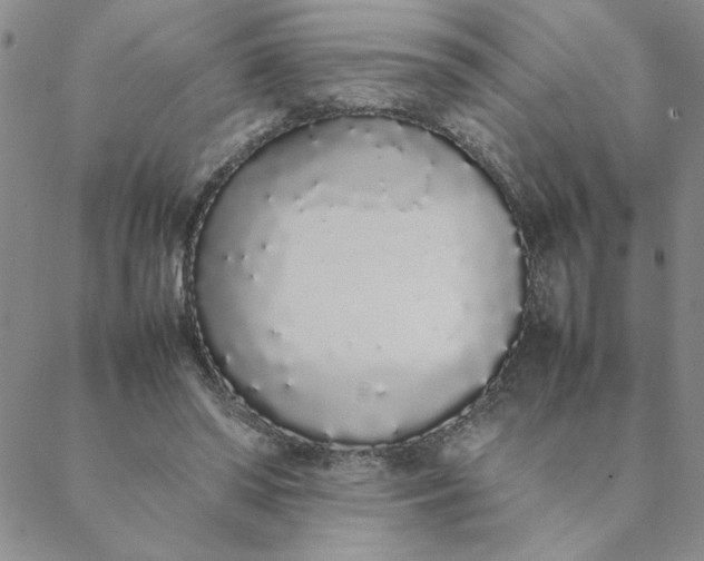 X0000088640398200706081618