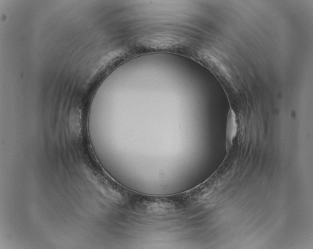 X0000088640400200706081618