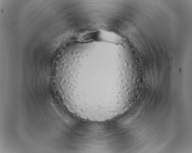 X0000088640402200706081618