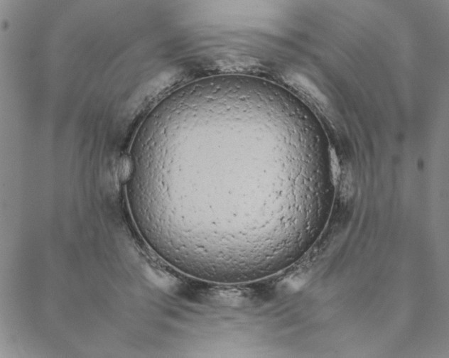 X0000088640405200706081617