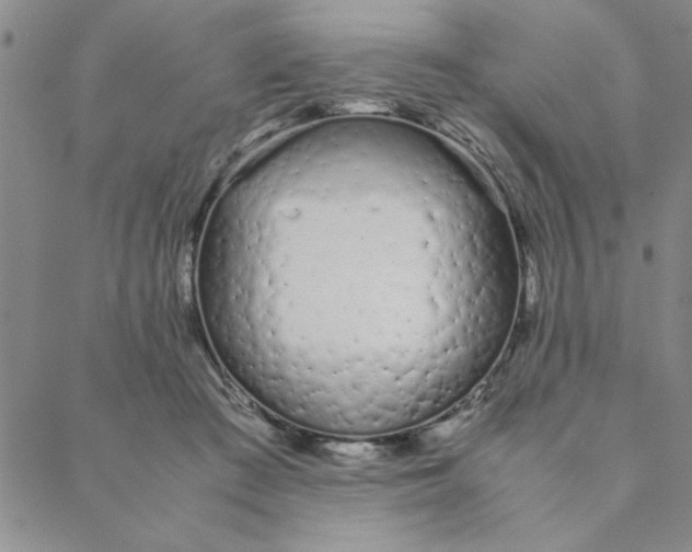 X0000088640409200706081617