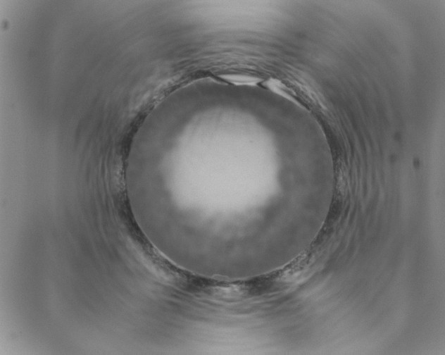 X0000088640411200706081617