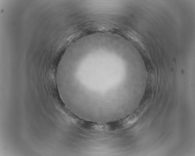 X0000088640415200706081617