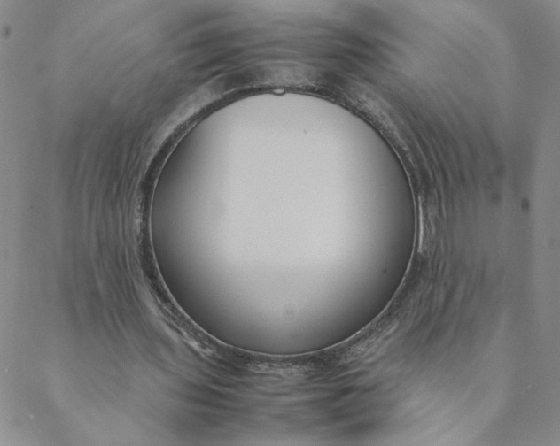 X0000088640435200706081616