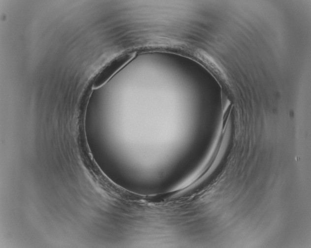 X0000088640436200706081616